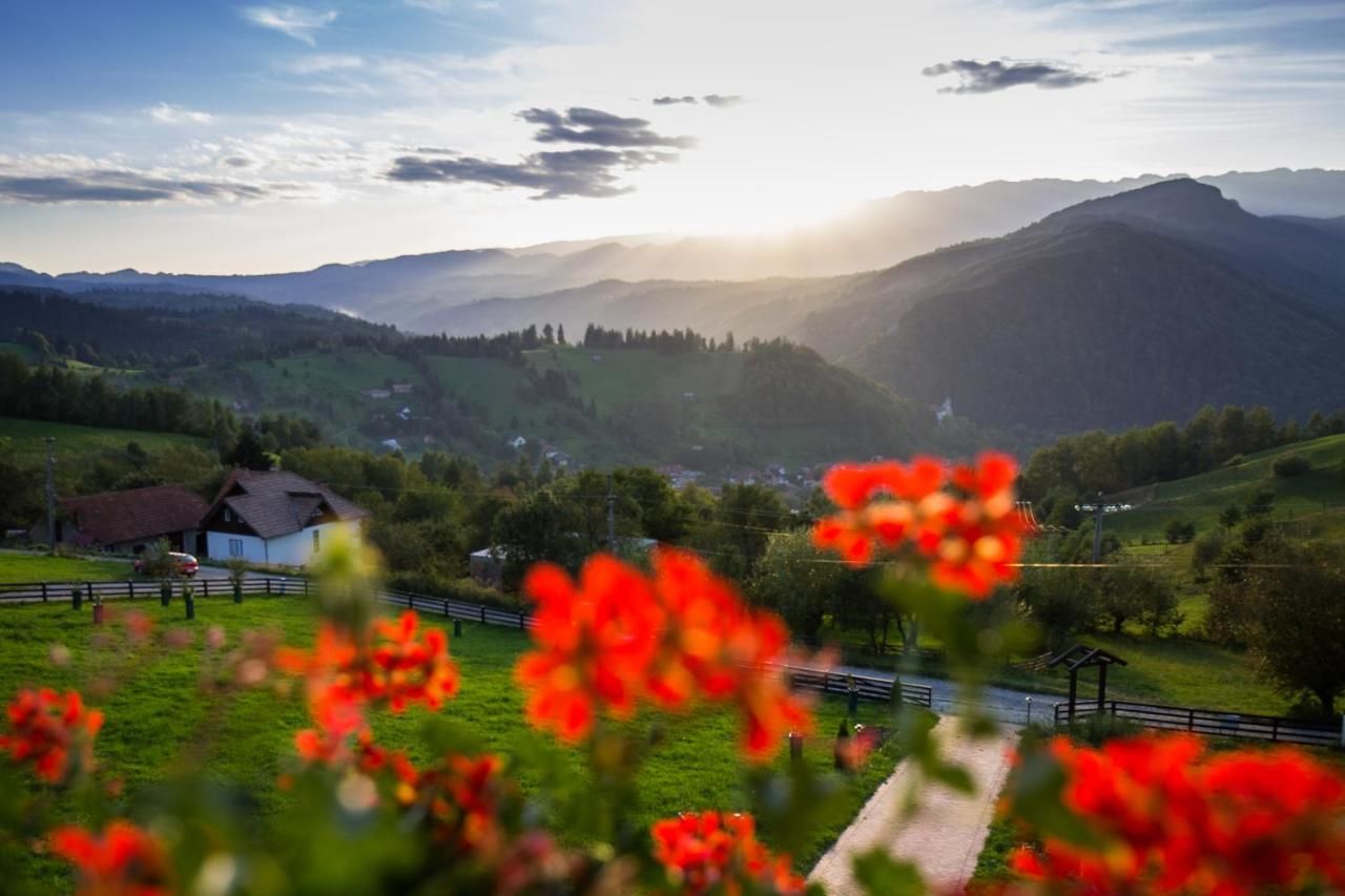 Гостевой дом Bran Monte Crai Chalet Бран