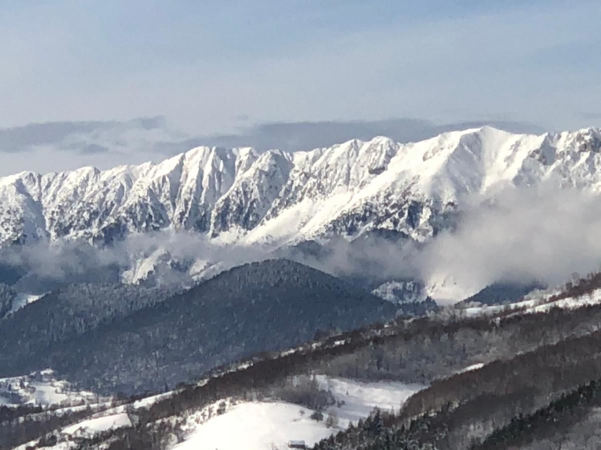 Гостевой дом Bran Monte Crai Chalet Бран-25
