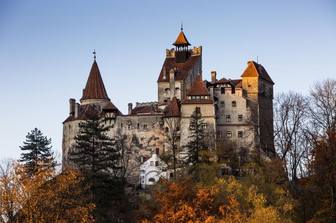 Гостевой дом Bran Monte Crai Chalet Бран