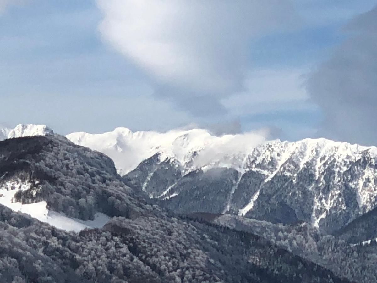 Гостевой дом Bran Monte Crai Chalet Бран-36